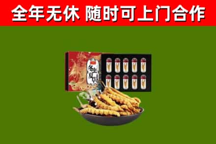 惠州回收冬虫夏草价格